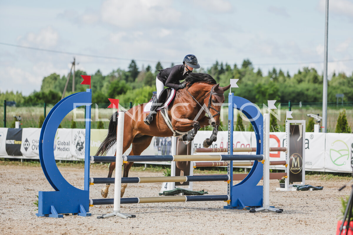 Gramina_Jaanipaev_2026_100_046