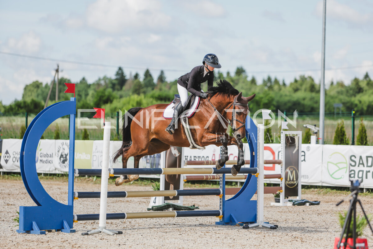 Gramina_Jaanipaev_2026_100_048