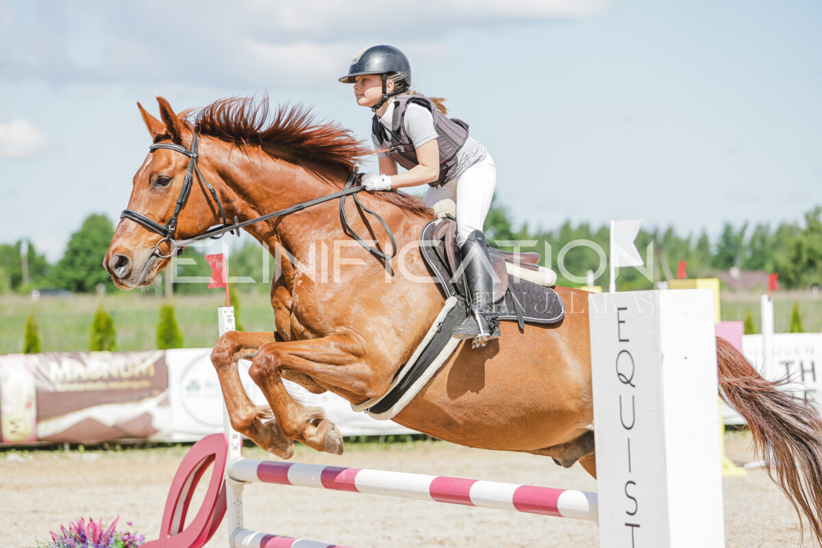 Gramina_Jaanipaev_2026_100_075