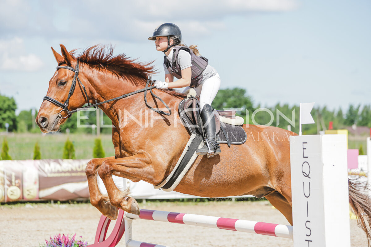 Gramina_Jaanipaev_2026_100_076