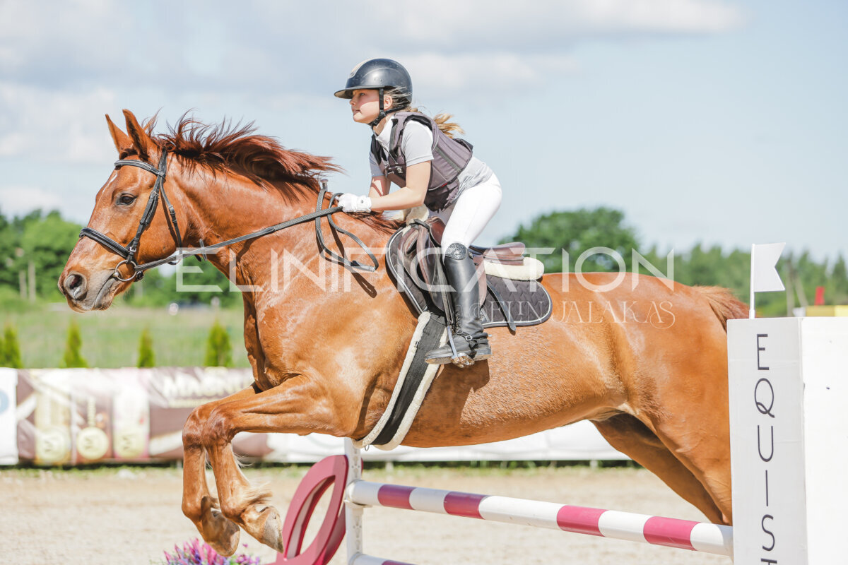 Gramina_Jaanipaev_2026_100_077