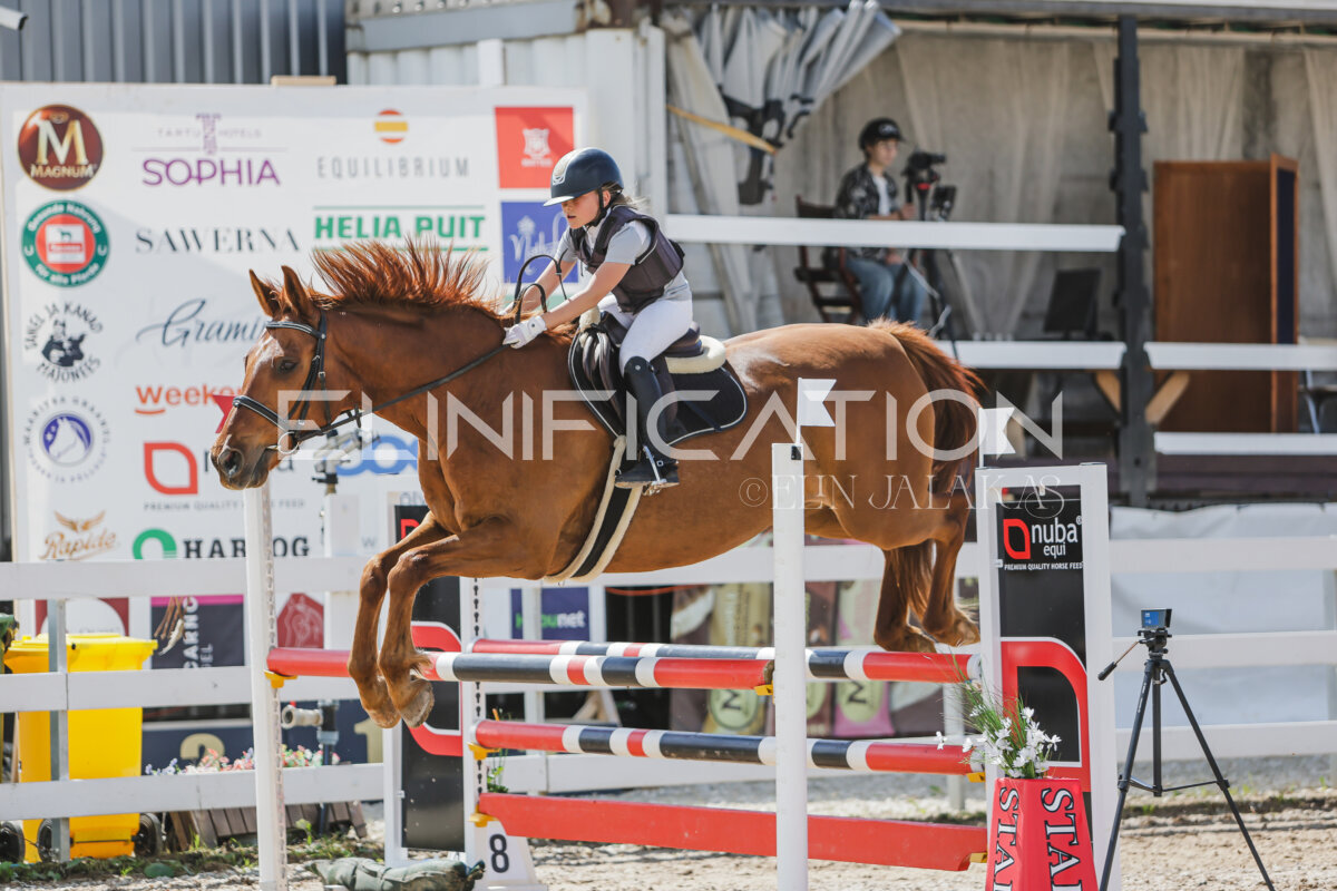Gramina_Jaanipaev_2026_100_085