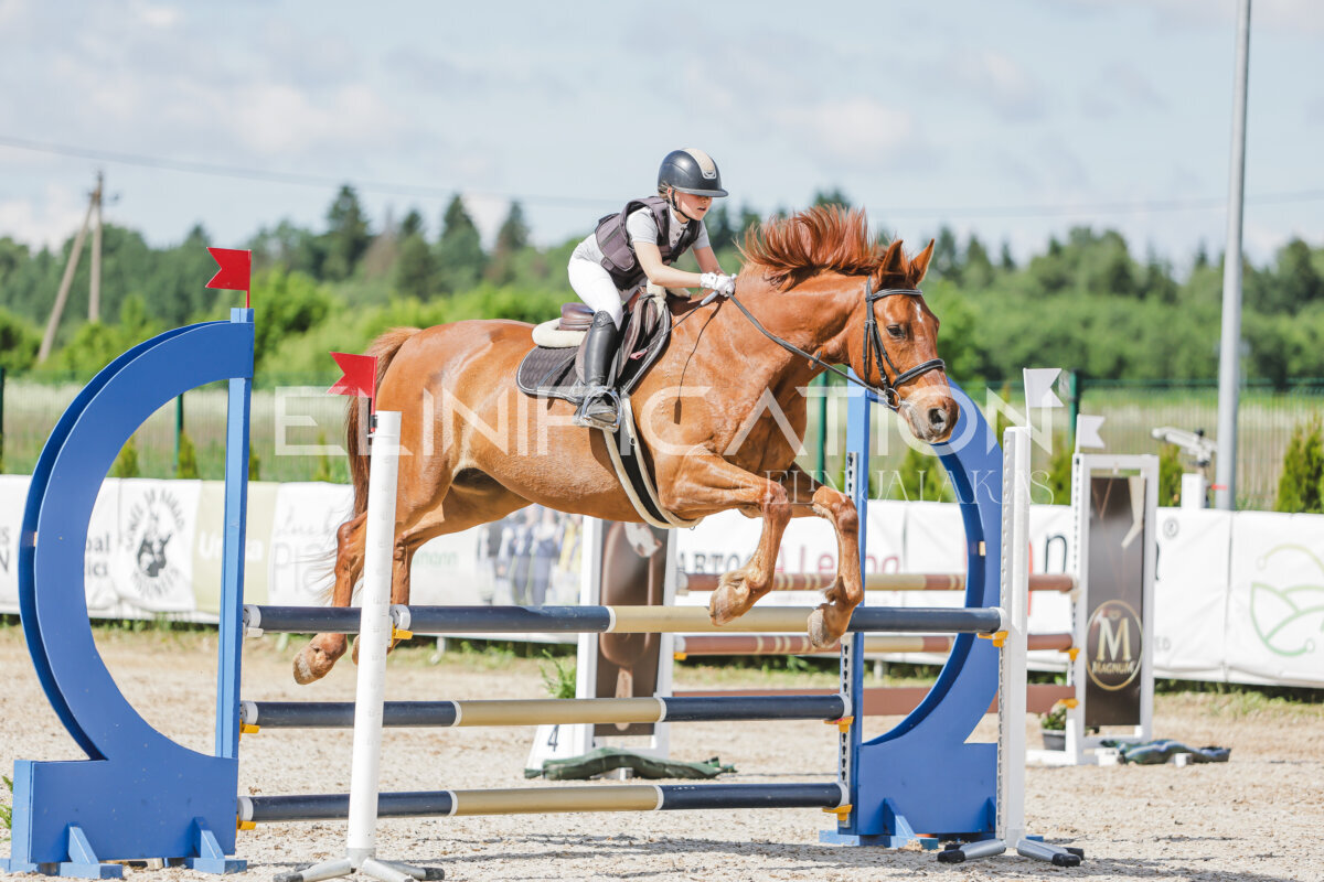 Gramina_Jaanipaev_2026_100_088