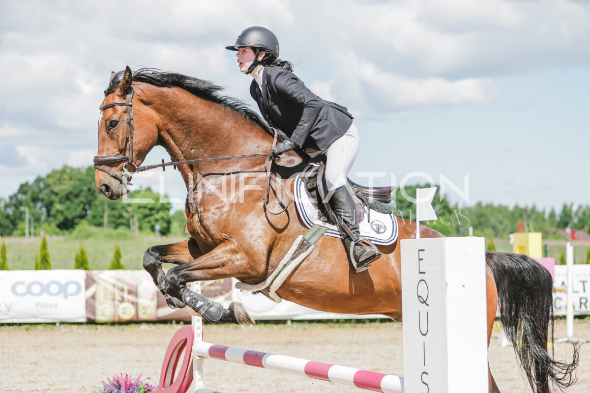 Gramina_Jaanipaev_2026_100_112