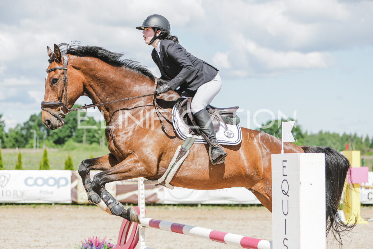 Gramina_Jaanipaev_2026_100_113