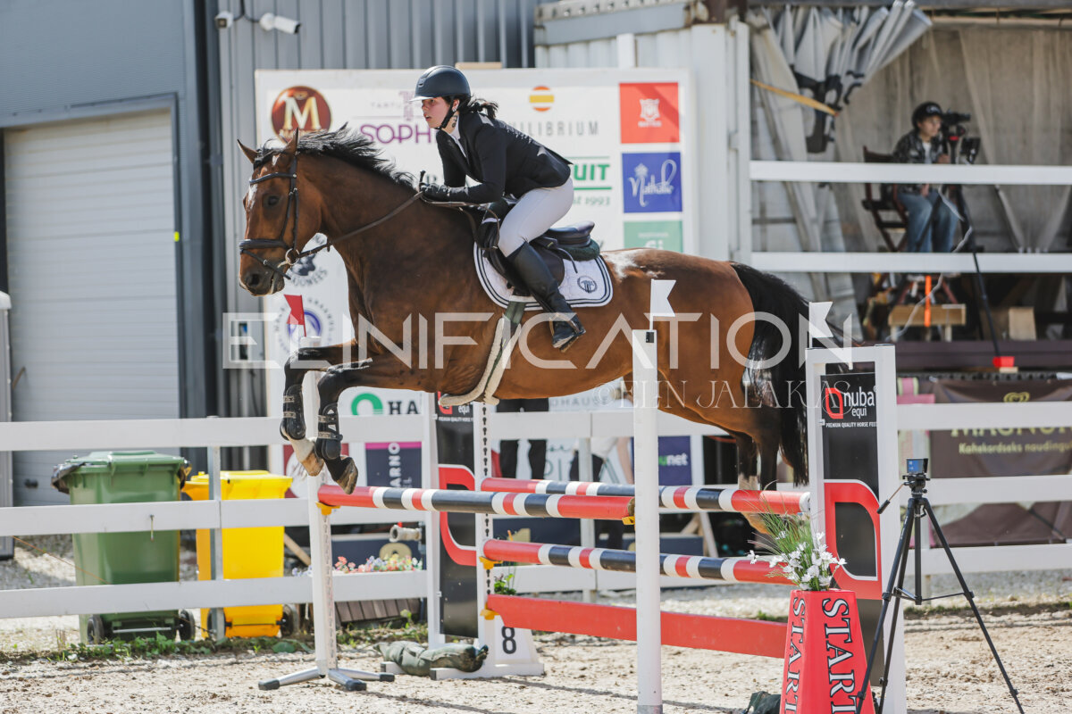 Gramina_Jaanipaev_2026_100_120