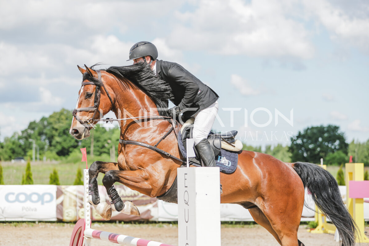 Gramina_Jaanipaev_2026_100_138