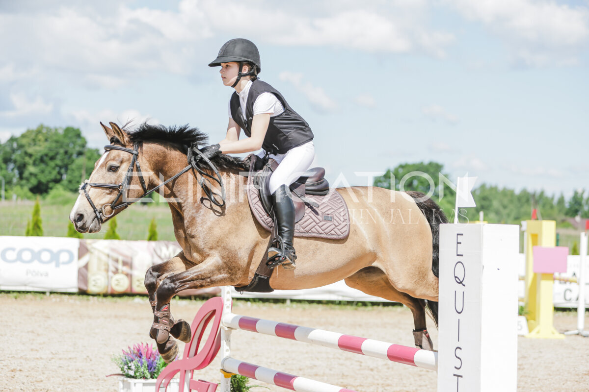 Gramina_Jaanipaev_2026_100_149
