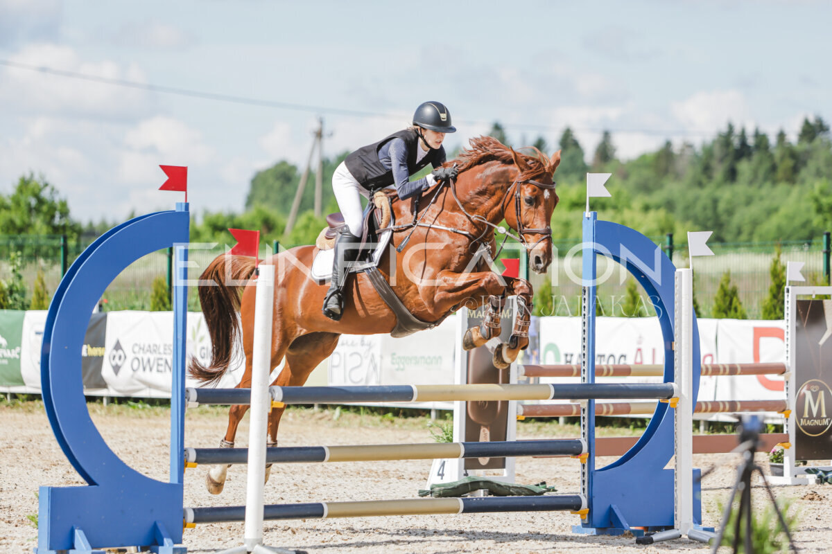 Gramina_Jaanipaev_2026_100_173