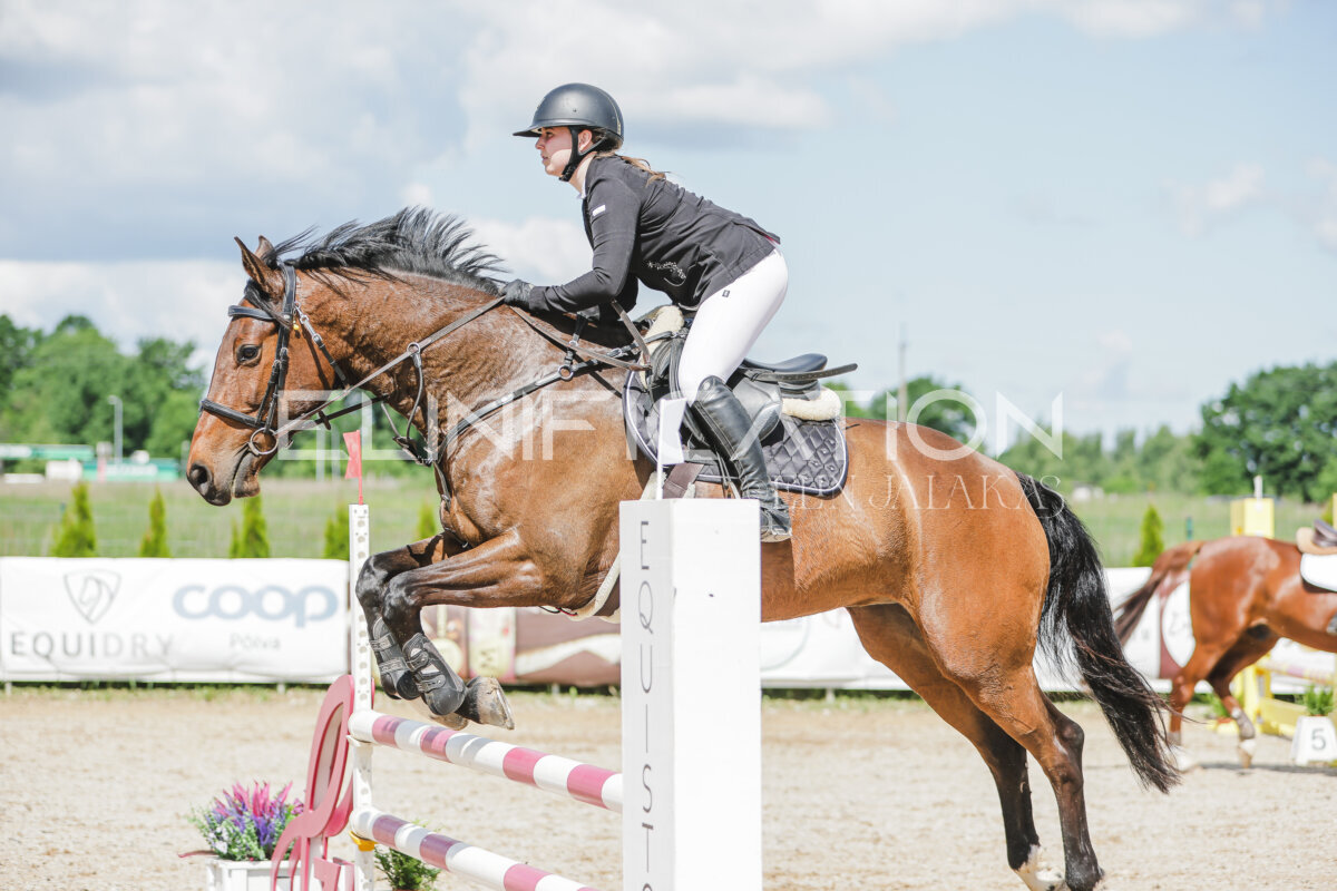 Gramina_Jaanipaev_2026_100_178