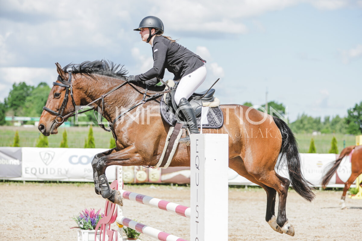 Gramina_Jaanipaev_2026_100_179