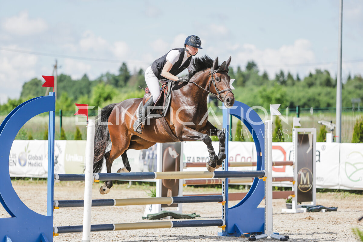 Gramina_Jaanipaev_2026_100_216