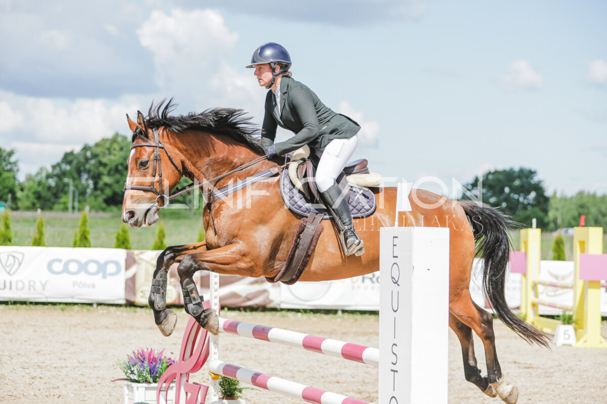 Gramina_Jaanipaev_2026_100_240
