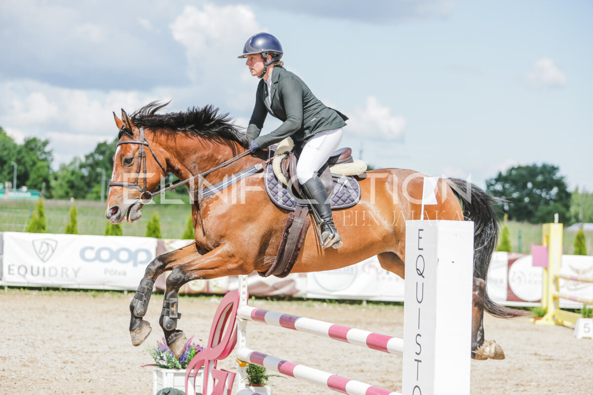 Gramina_Jaanipaev_2026_100_241