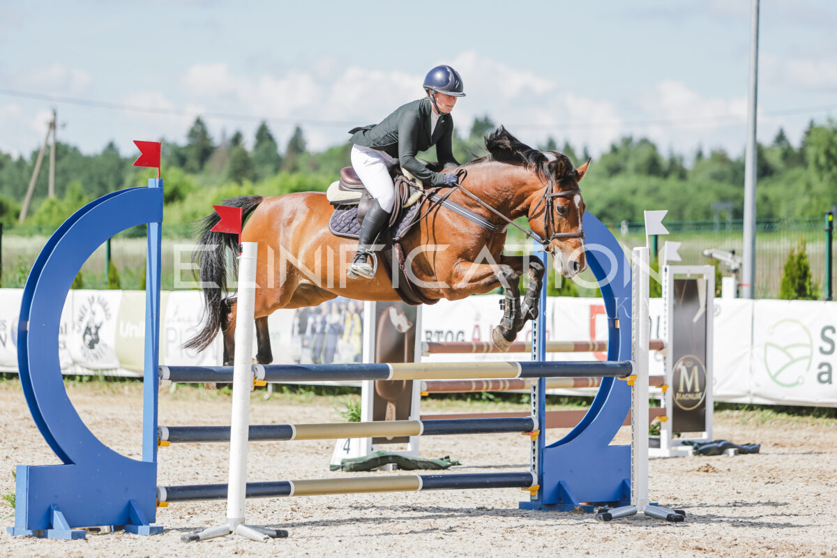 Gramina_Jaanipaev_2026_100_252