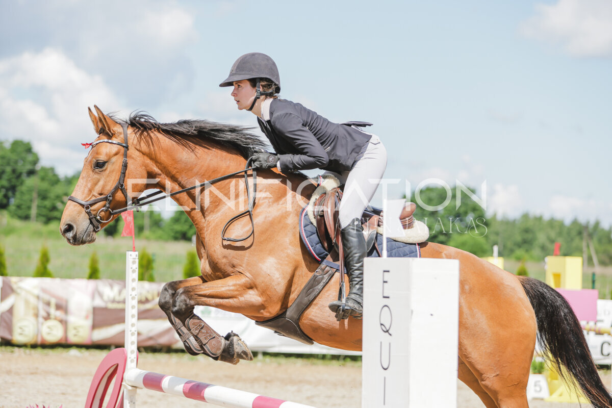 Gramina_Jaanipaev_2026_100_282