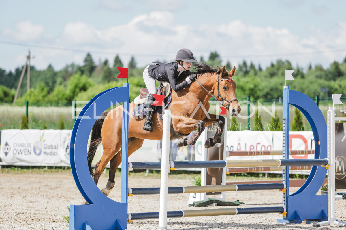 Gramina_Jaanipaev_2026_100_290