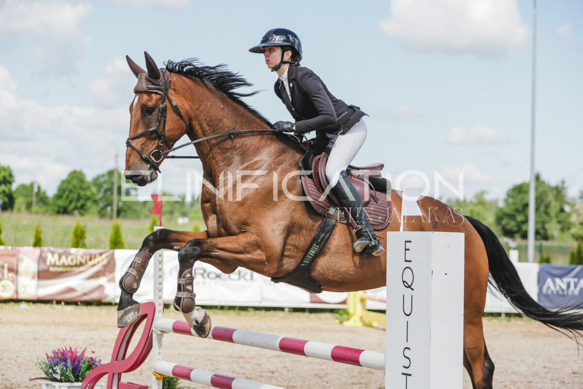 Gramina_Jaanipaev_2026_100_296