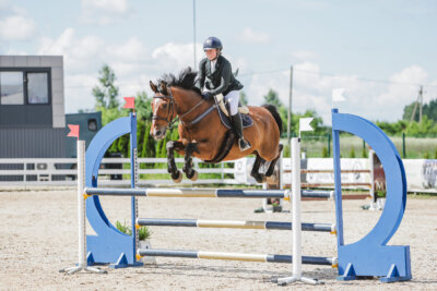 Gramina_Jaanipaev_2026_110_007