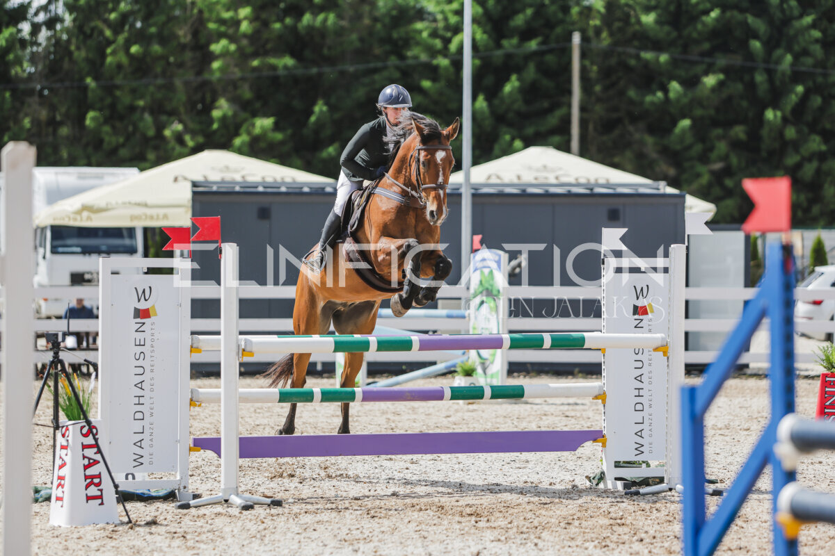 Gramina_Jaanipaev_2026_110_011