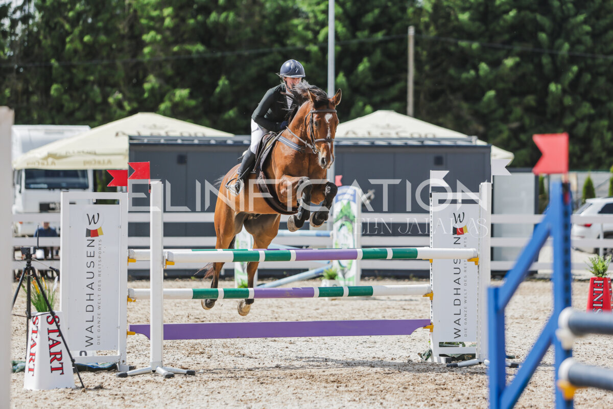 Gramina_Jaanipaev_2026_110_012