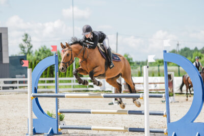 Gramina_Jaanipaev_2026_110_023