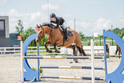 Gramina_Jaanipaev_2026_110_024