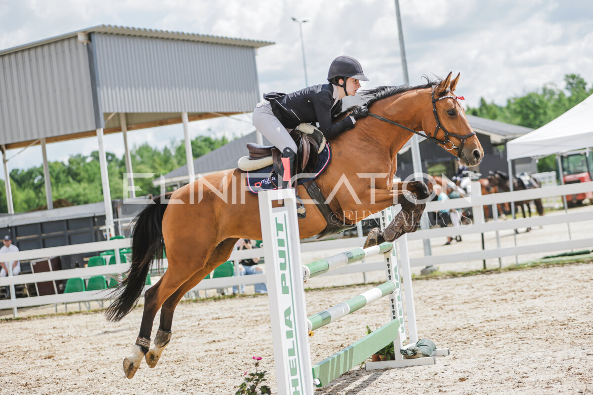 Gramina_Jaanipaev_2026_110_036