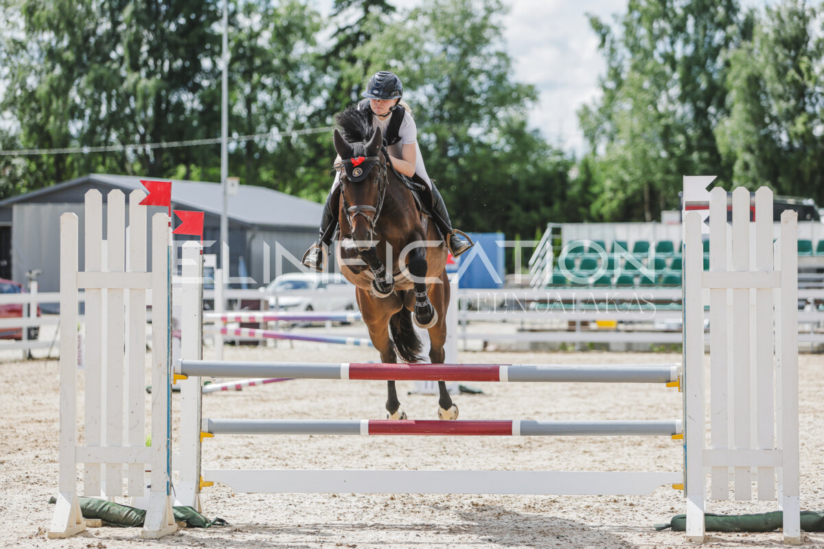 Gramina_Jaanipaev_2026_110_038