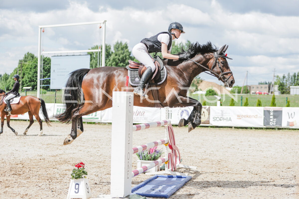 Gramina_Jaanipaev_2026_110_049