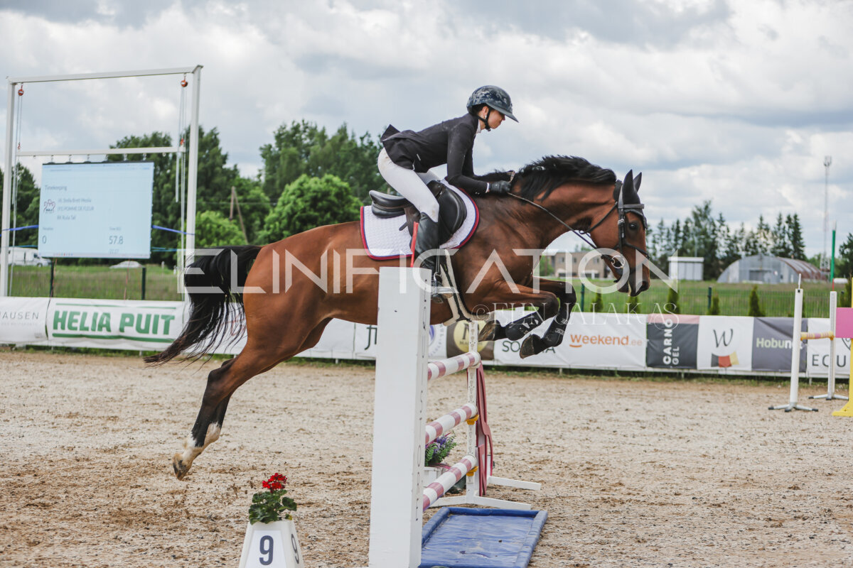 Gramina_Jaanipaev_2026_110_061