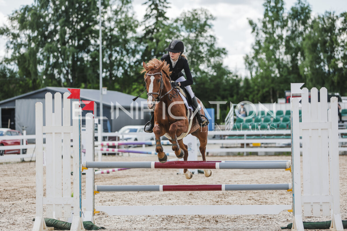 Gramina_Jaanipaev_2026_110_170