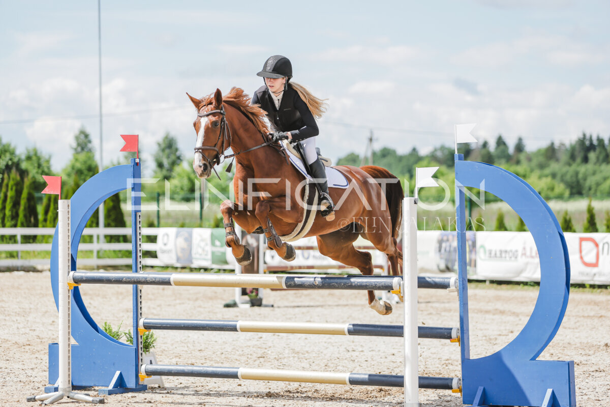 Gramina_Jaanipaev_2026_110_171