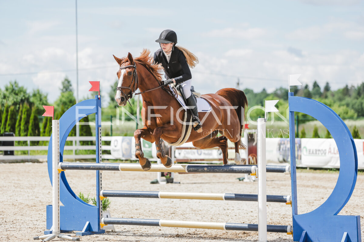 Gramina_Jaanipaev_2026_110_172
