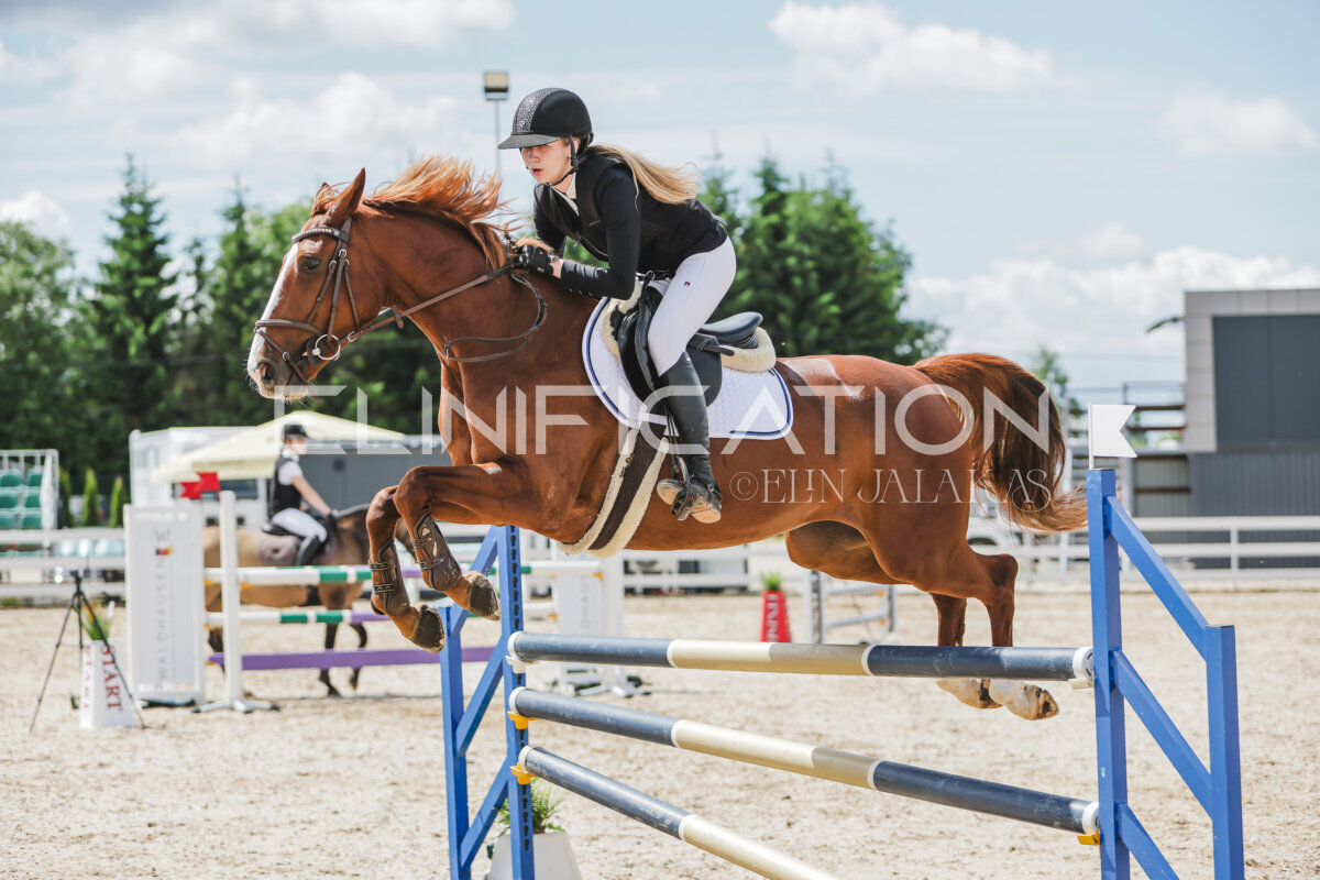 Gramina_Jaanipaev_2026_110_178