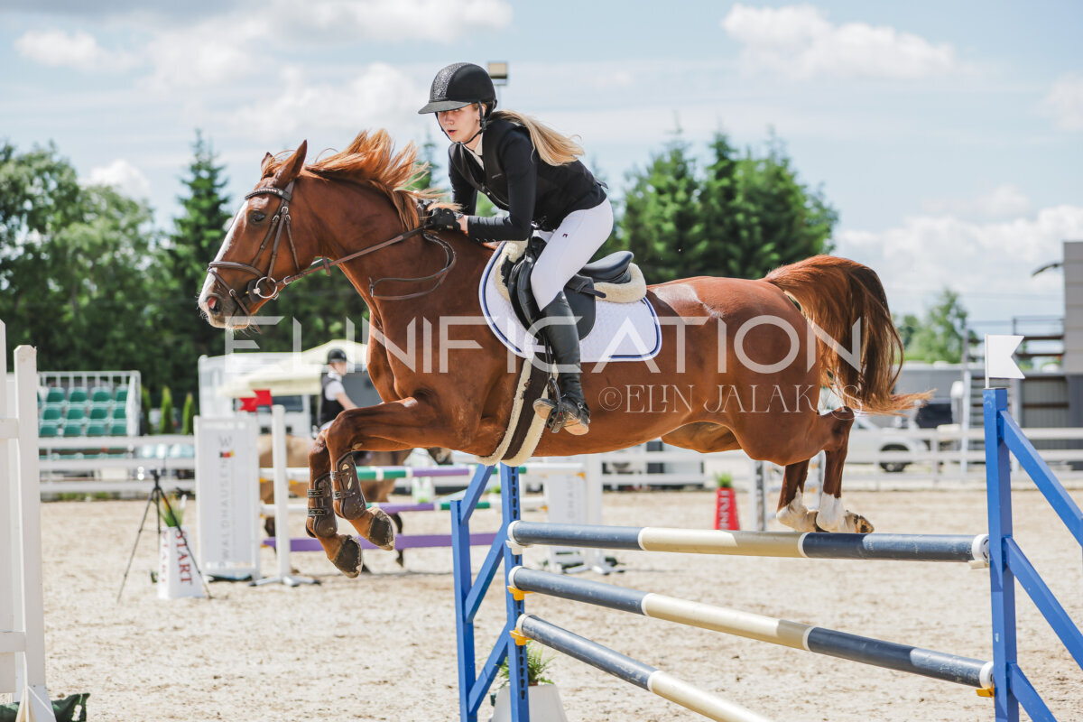 Gramina_Jaanipaev_2026_110_179