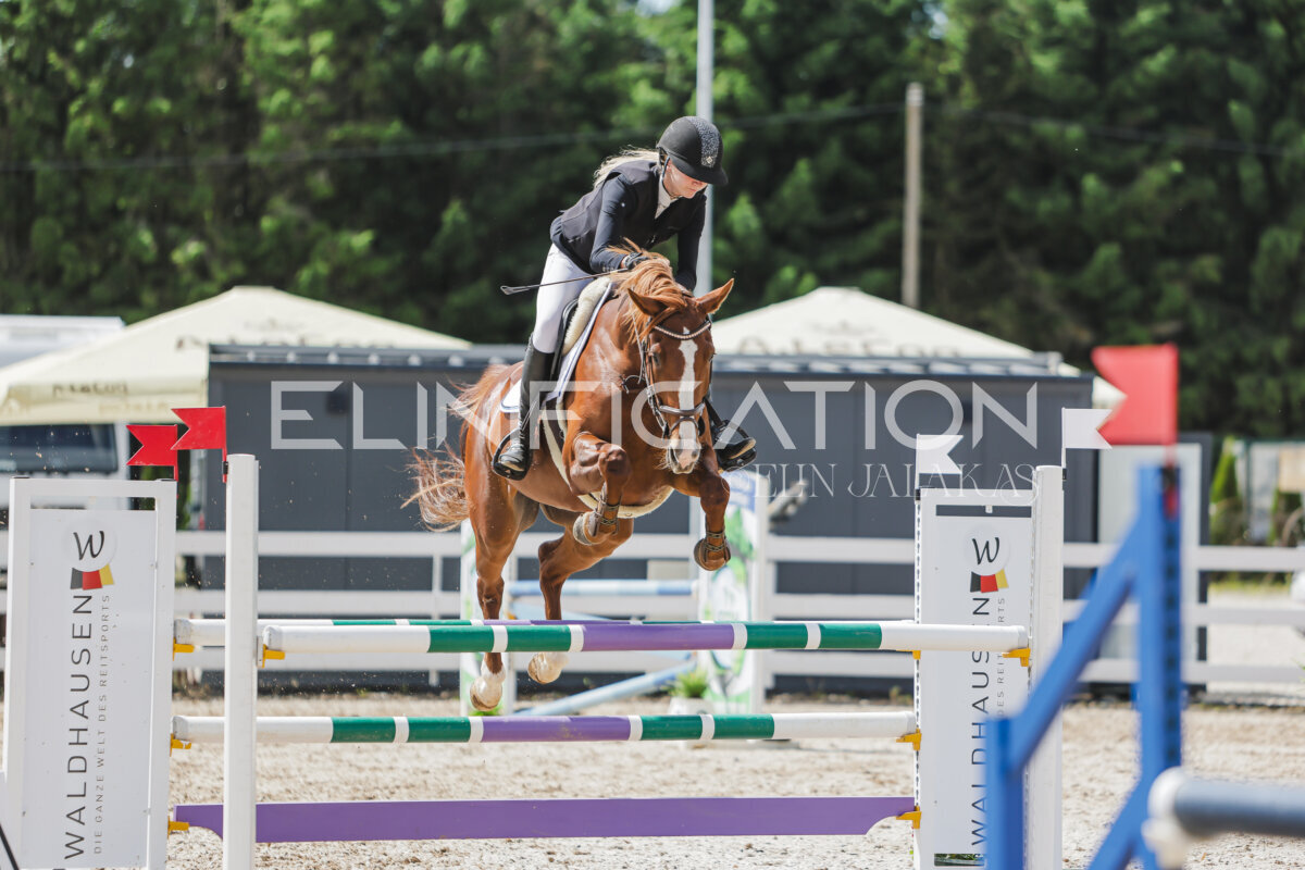 Gramina_Jaanipaev_2026_110_180