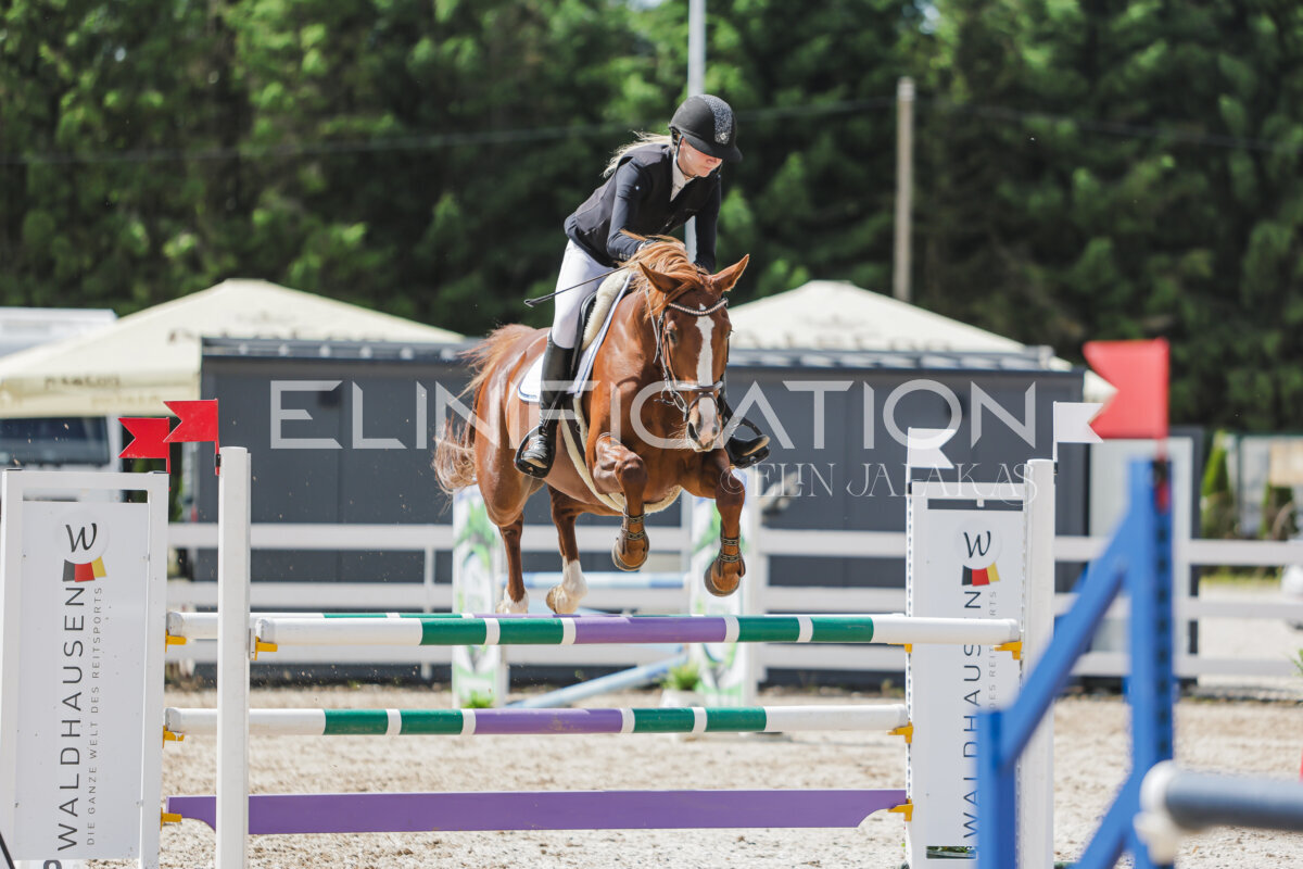 Gramina_Jaanipaev_2026_110_181