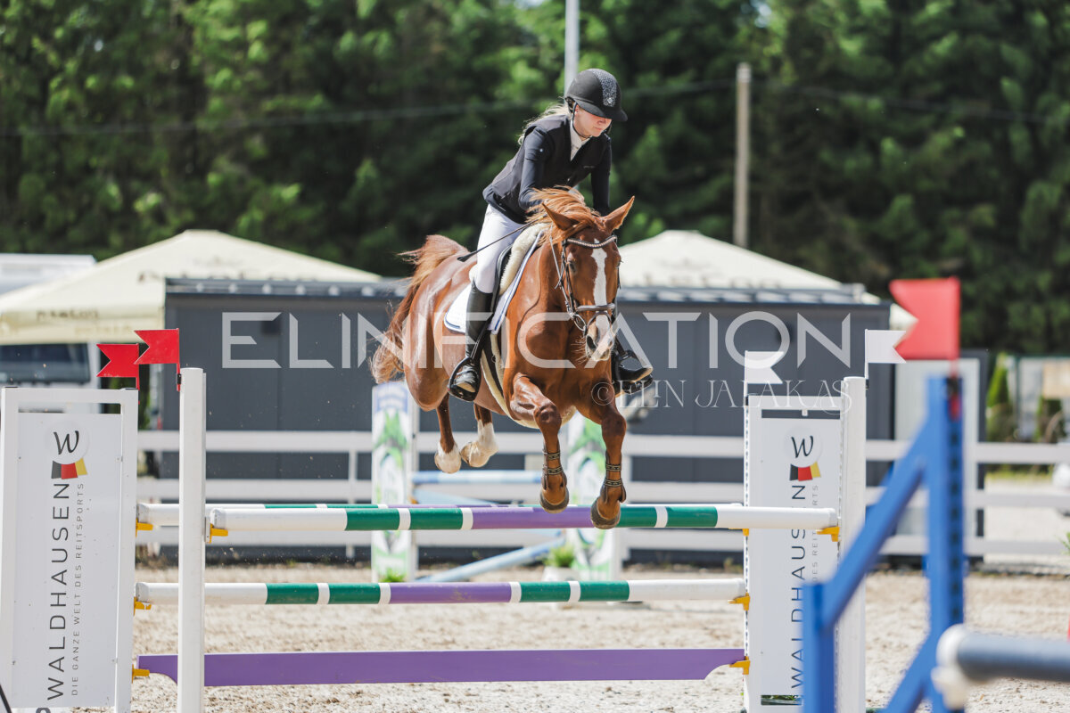 Gramina_Jaanipaev_2026_110_182
