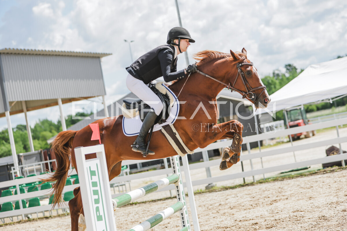 Gramina_Jaanipaev_2026_110_186