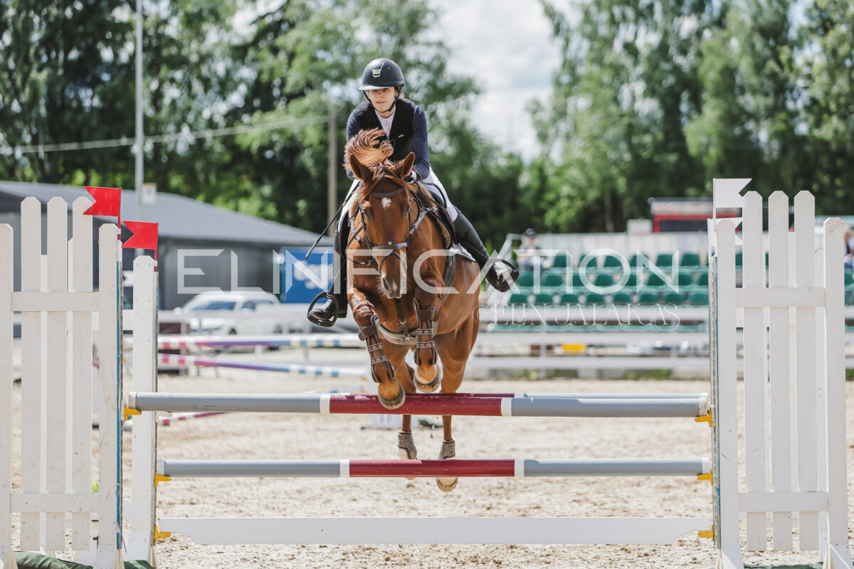 Gramina_Jaanipaev_2026_110_191
