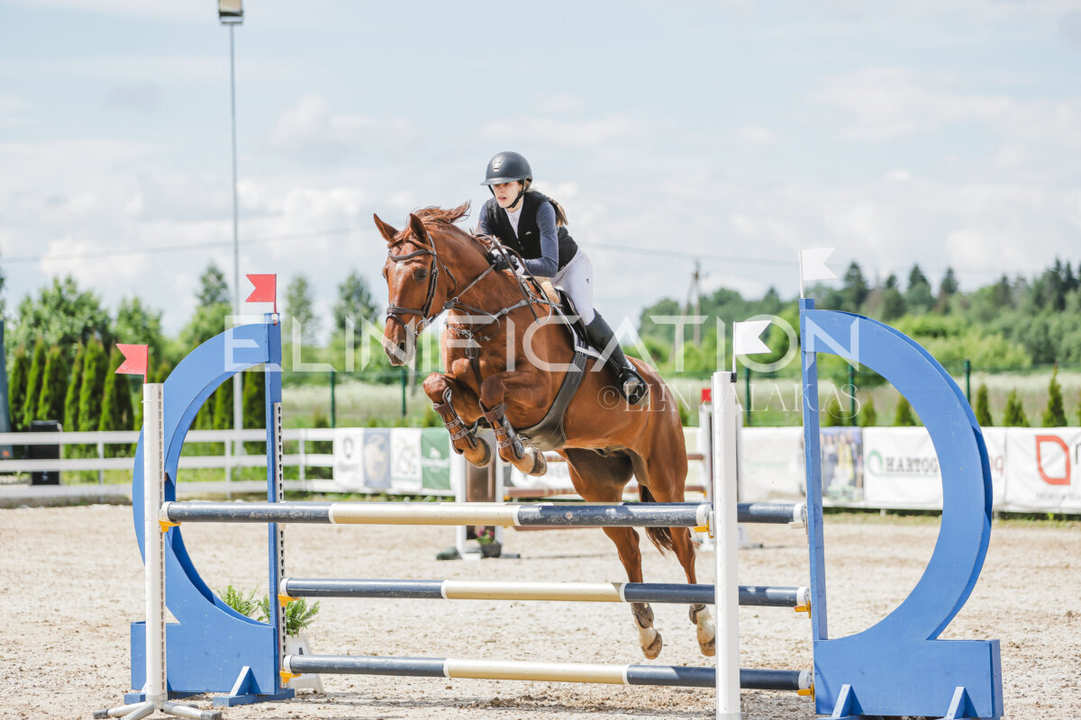 Gramina_Jaanipaev_2026_110_192