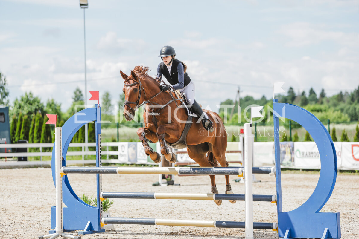 Gramina_Jaanipaev_2026_110_193