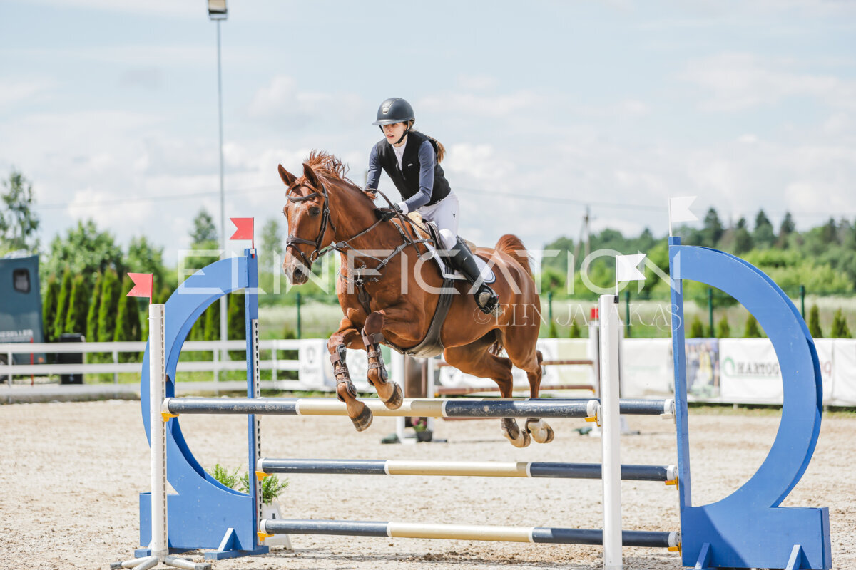 Gramina_Jaanipaev_2026_110_194