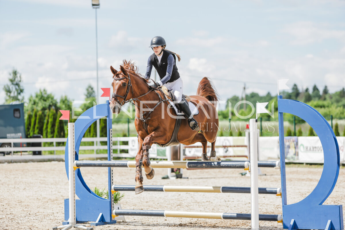 Gramina_Jaanipaev_2026_110_195