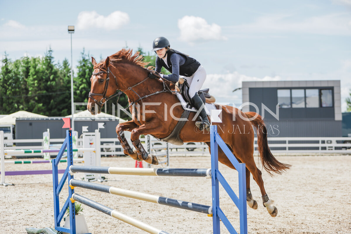 Gramina_Jaanipaev_2026_110_196