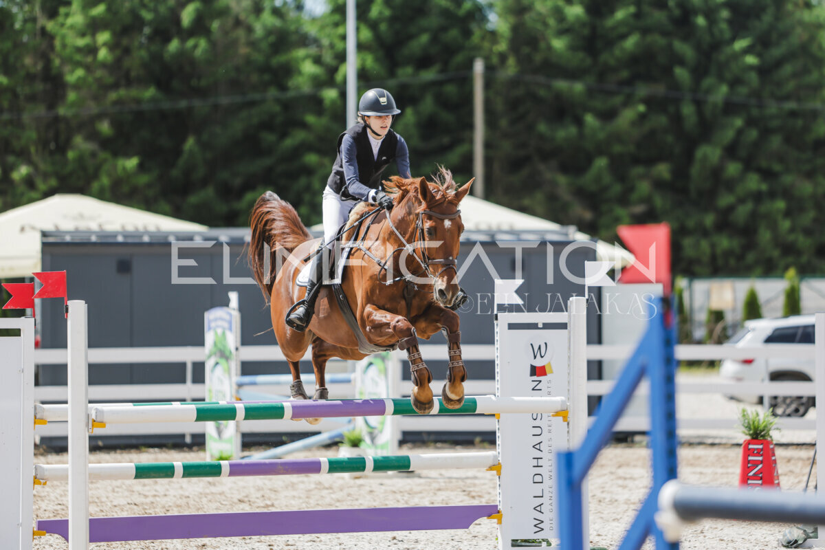 Gramina_Jaanipaev_2026_110_201