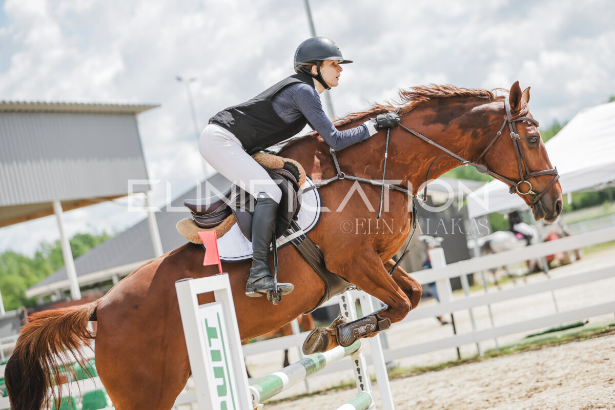 Gramina_Jaanipaev_2026_110_205