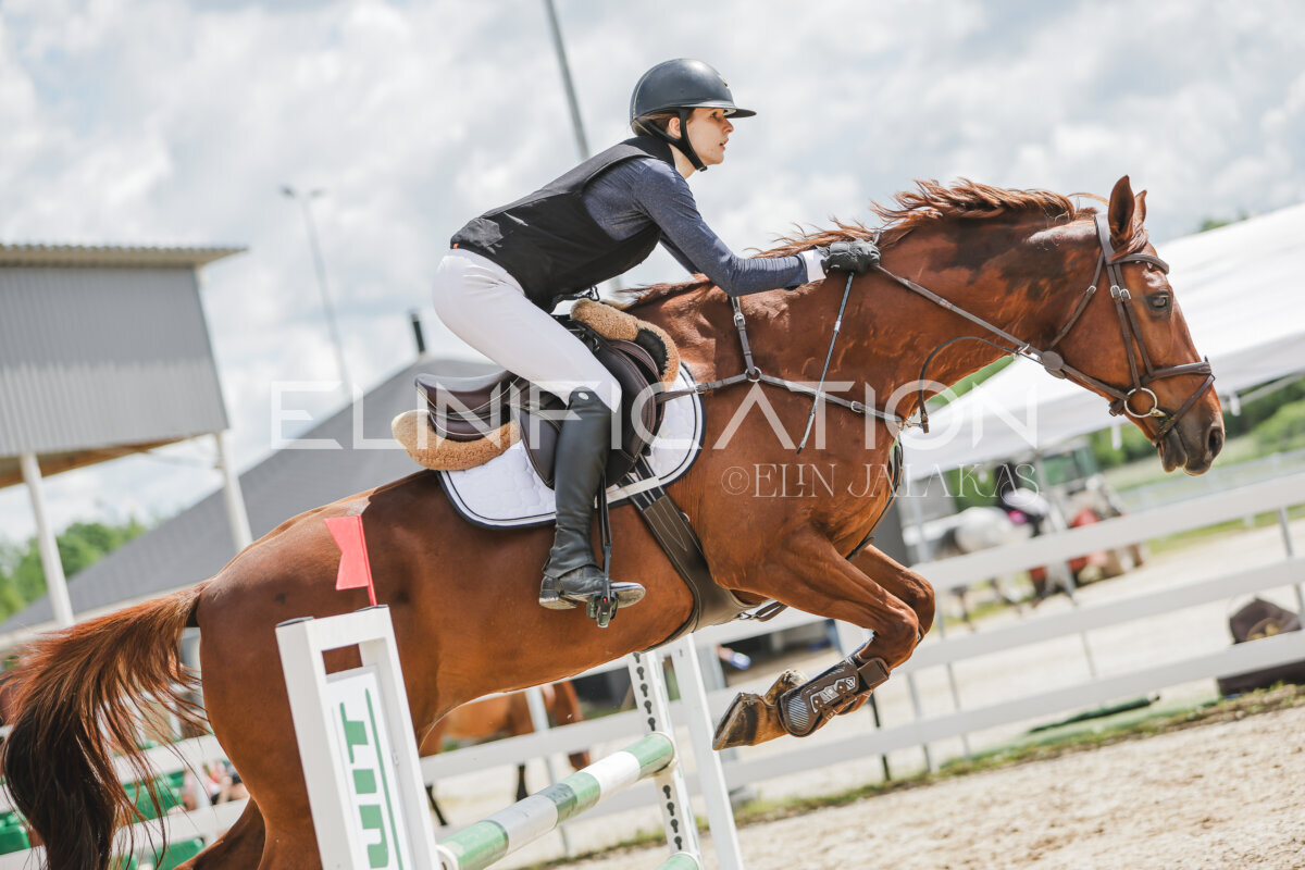 Gramina_Jaanipaev_2026_110_206