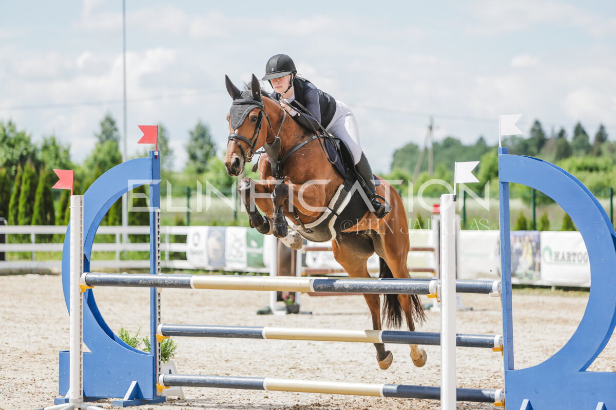 Gramina_Jaanipaev_2026_110_210